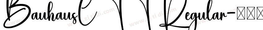 BauhausCTT Regular字体转换